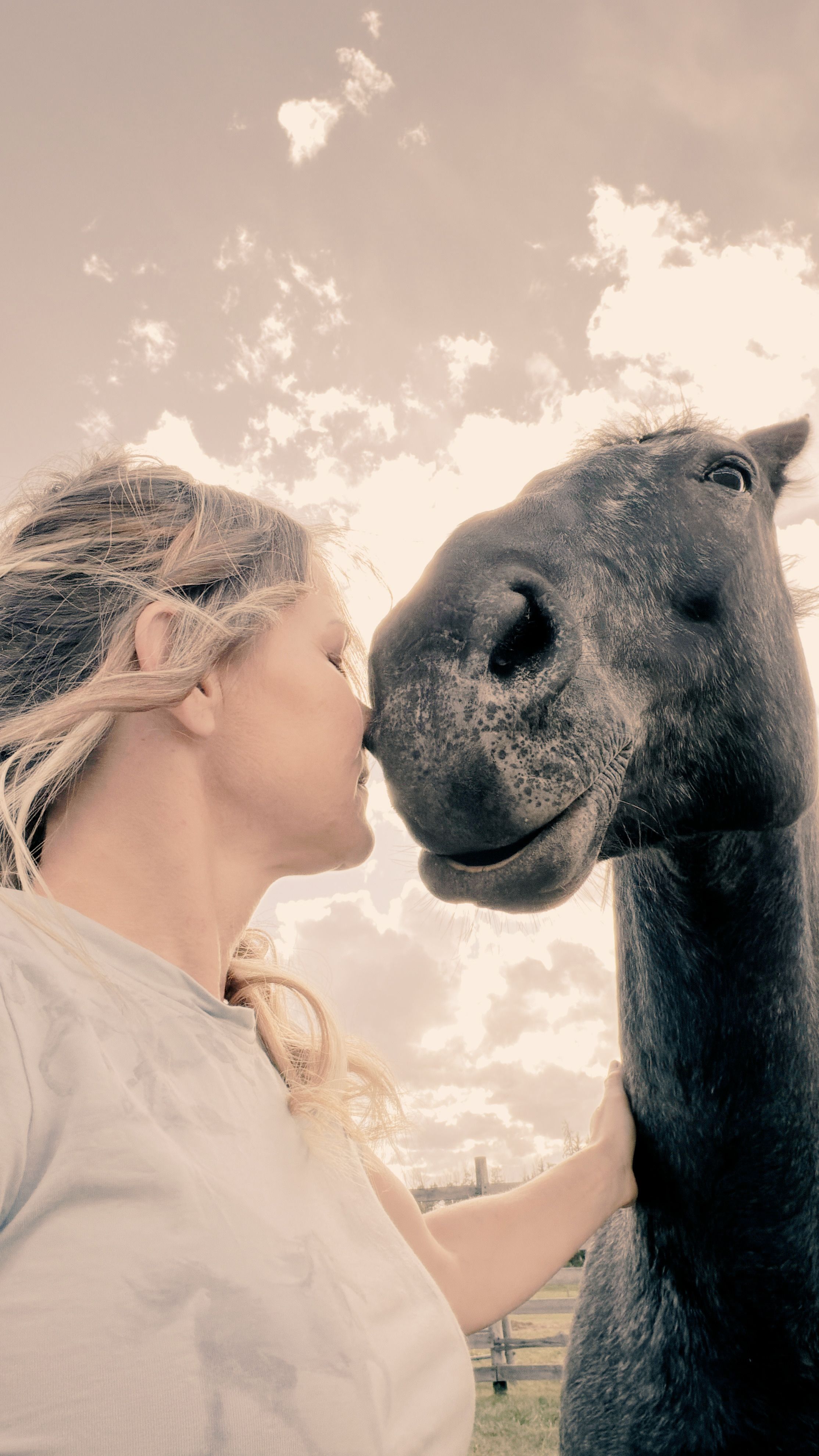 Sunshine sharing a quiet moment with a dark horse under an open Alberta sky