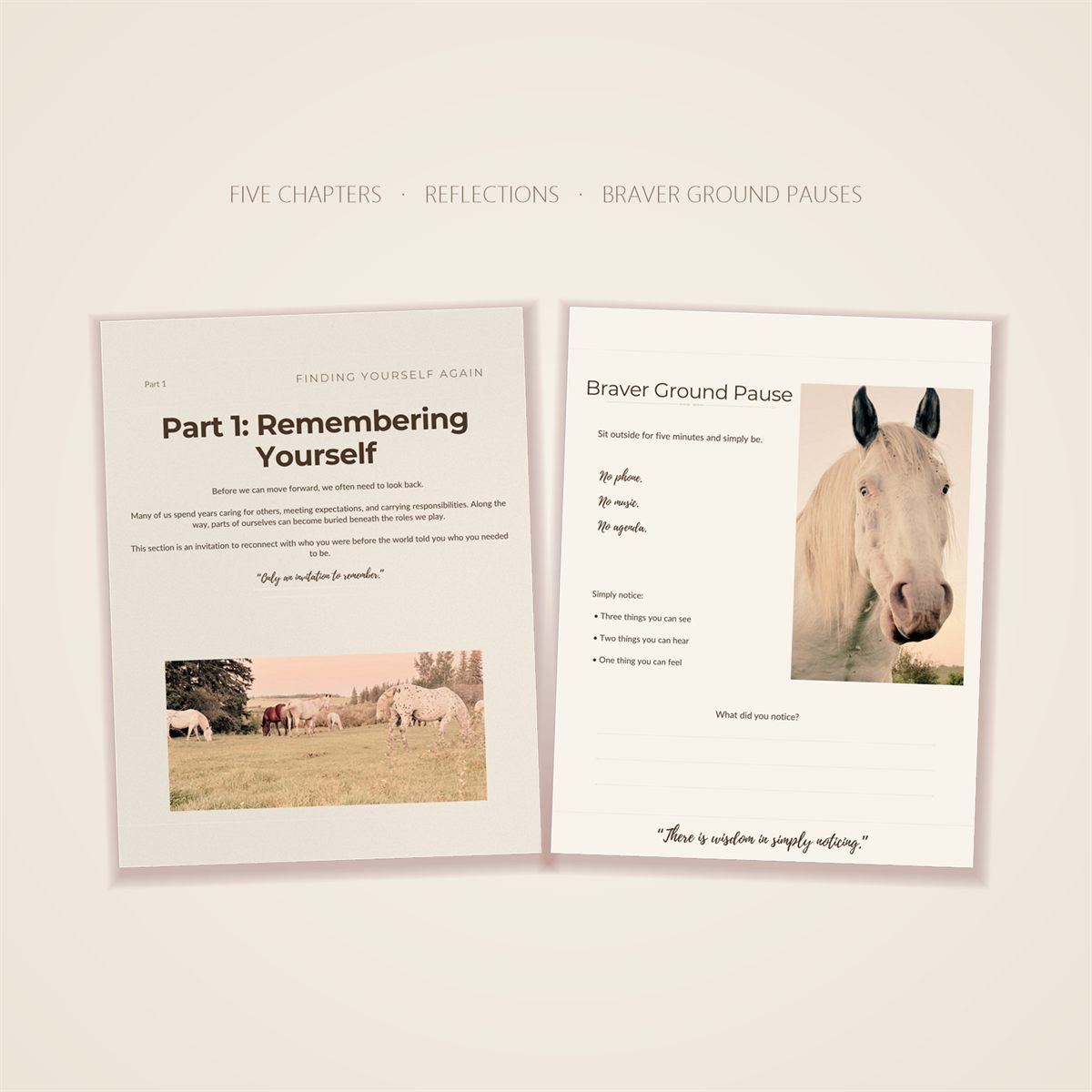 A chapter opener with grazing horses beside a Braver Ground Pause page