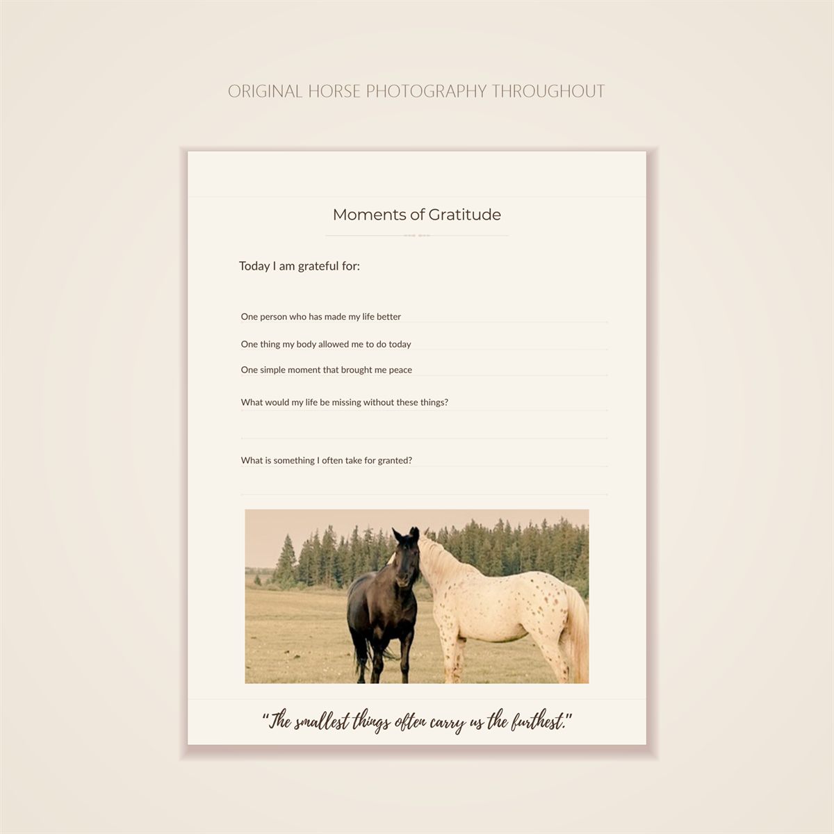 A Moments of Gratitude page with a photo of two horses