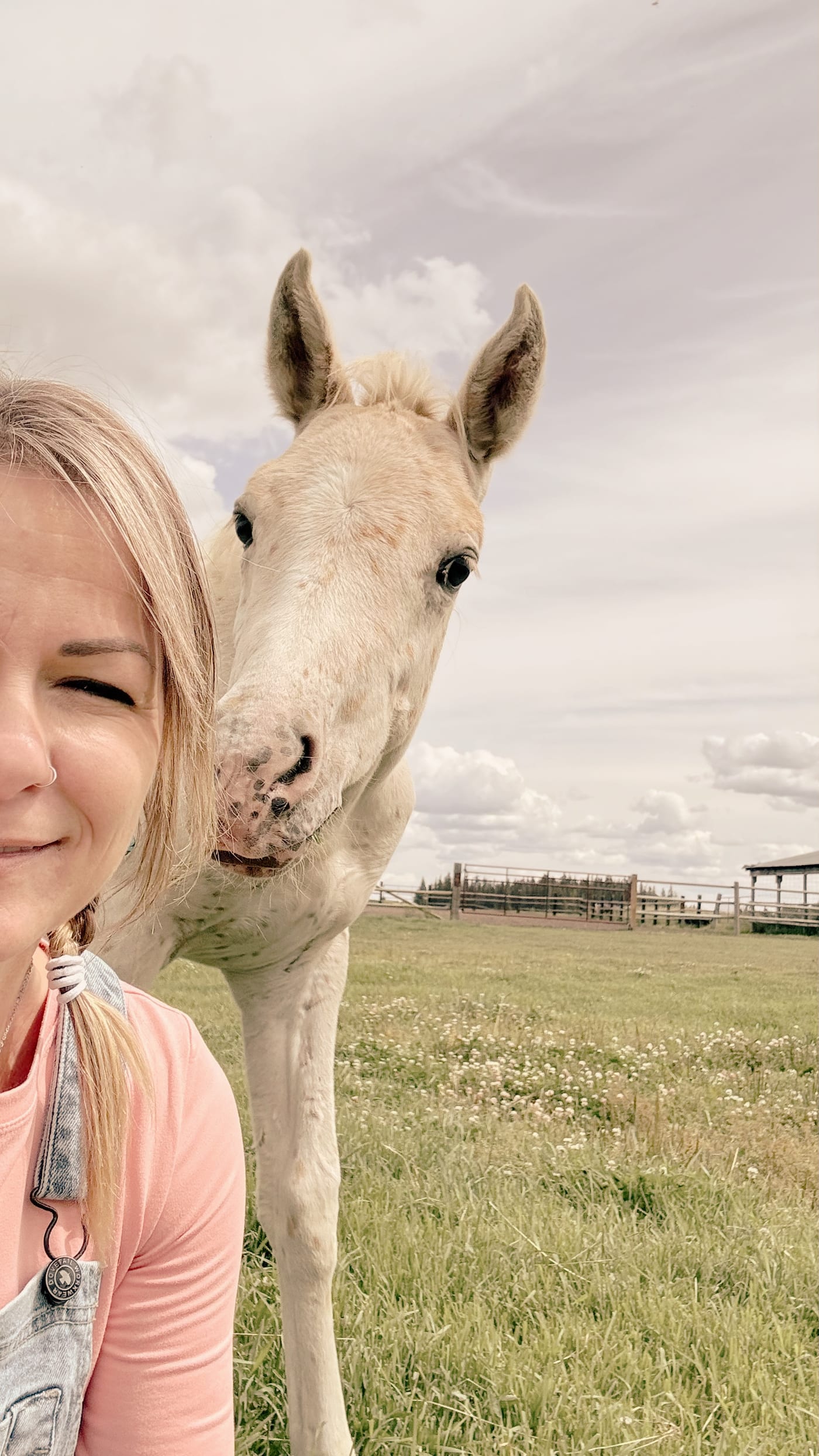 Quiet connection between a person and a horse during equine-assisted learning at Braver Ground